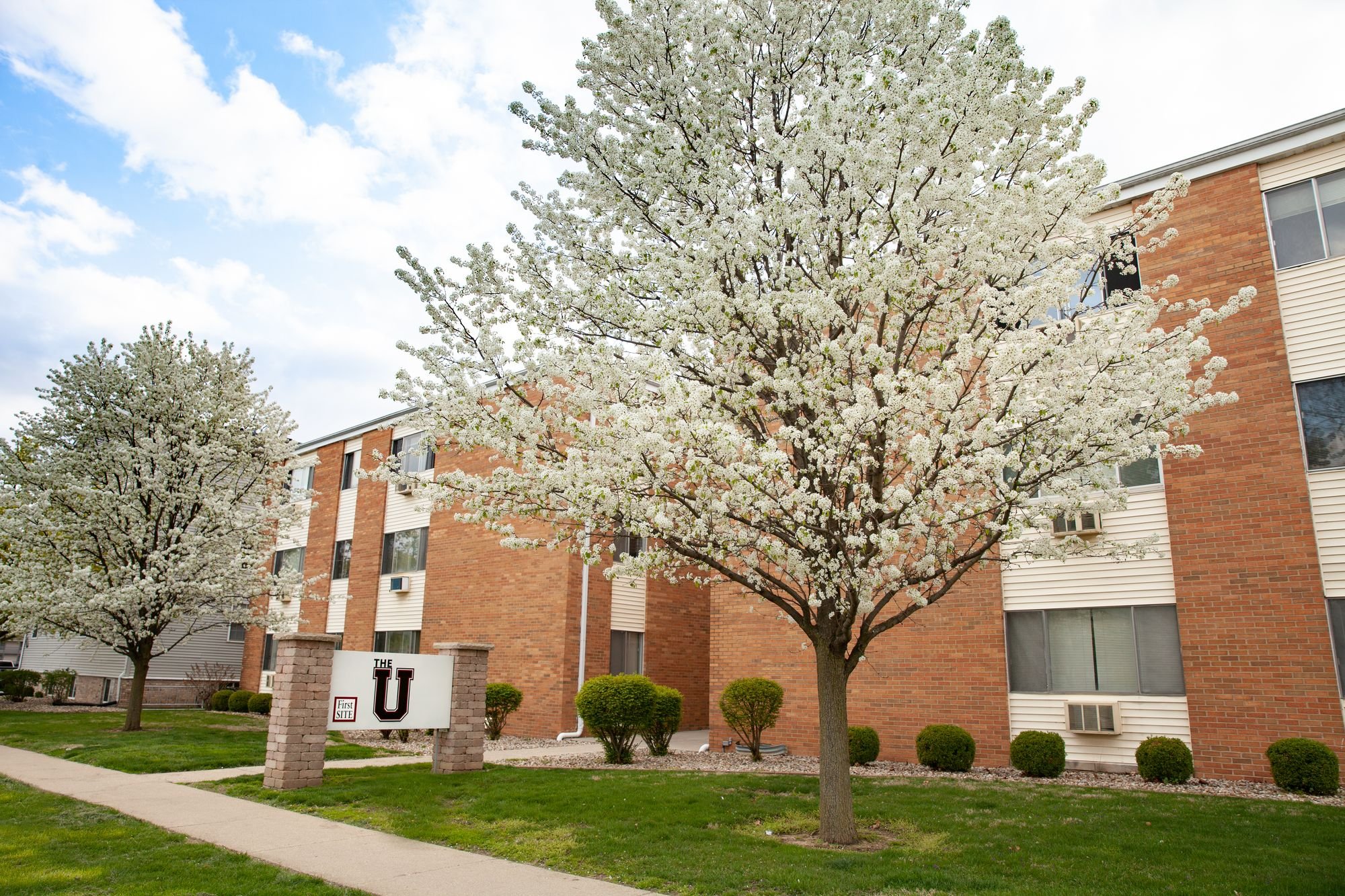 703-705 University - The U
