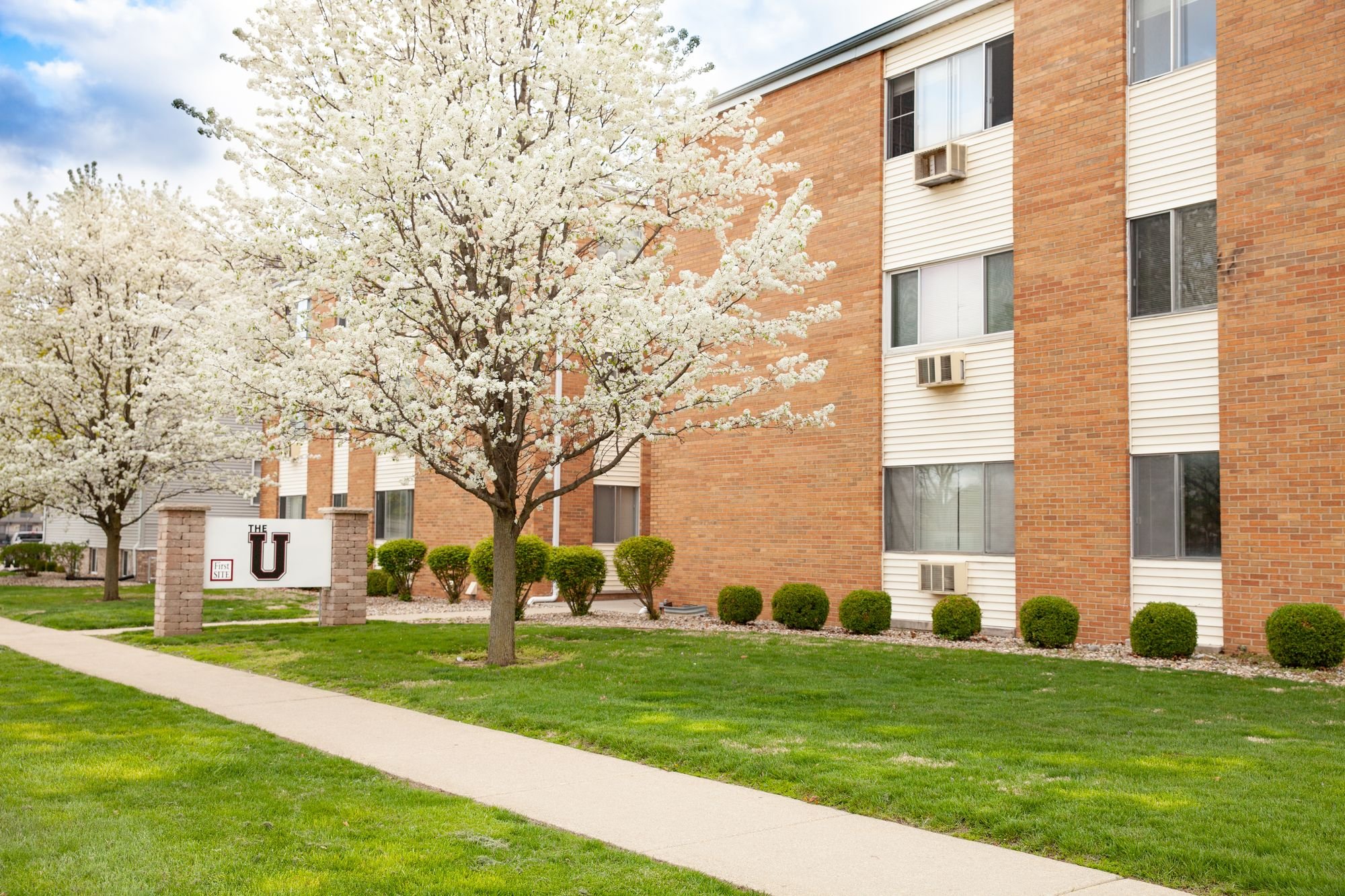 703-705 University - The U