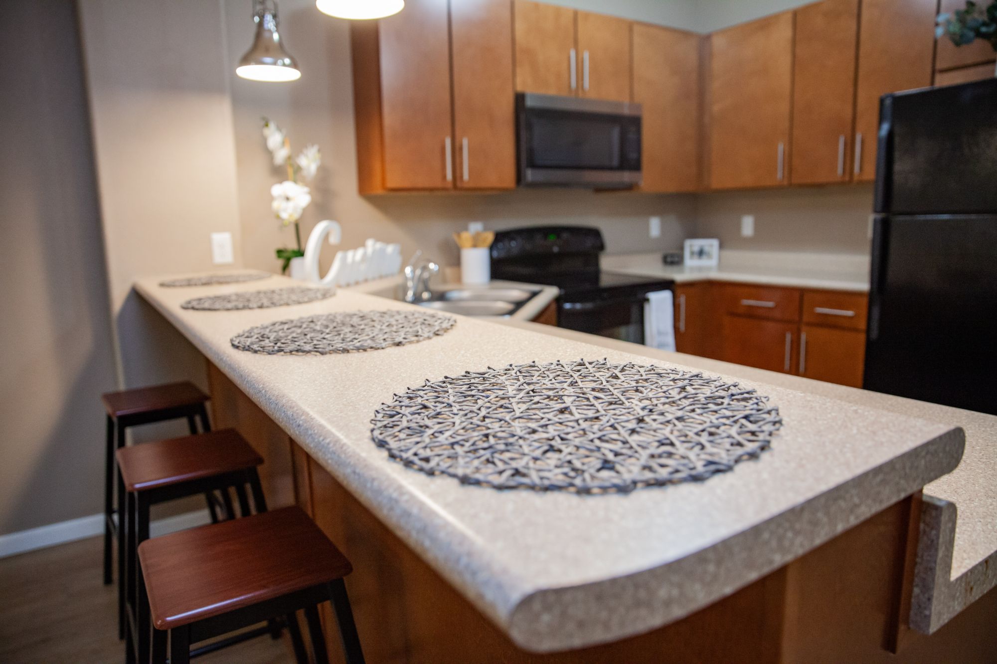 1010 Lofts on Main (2 Level Townhomes)