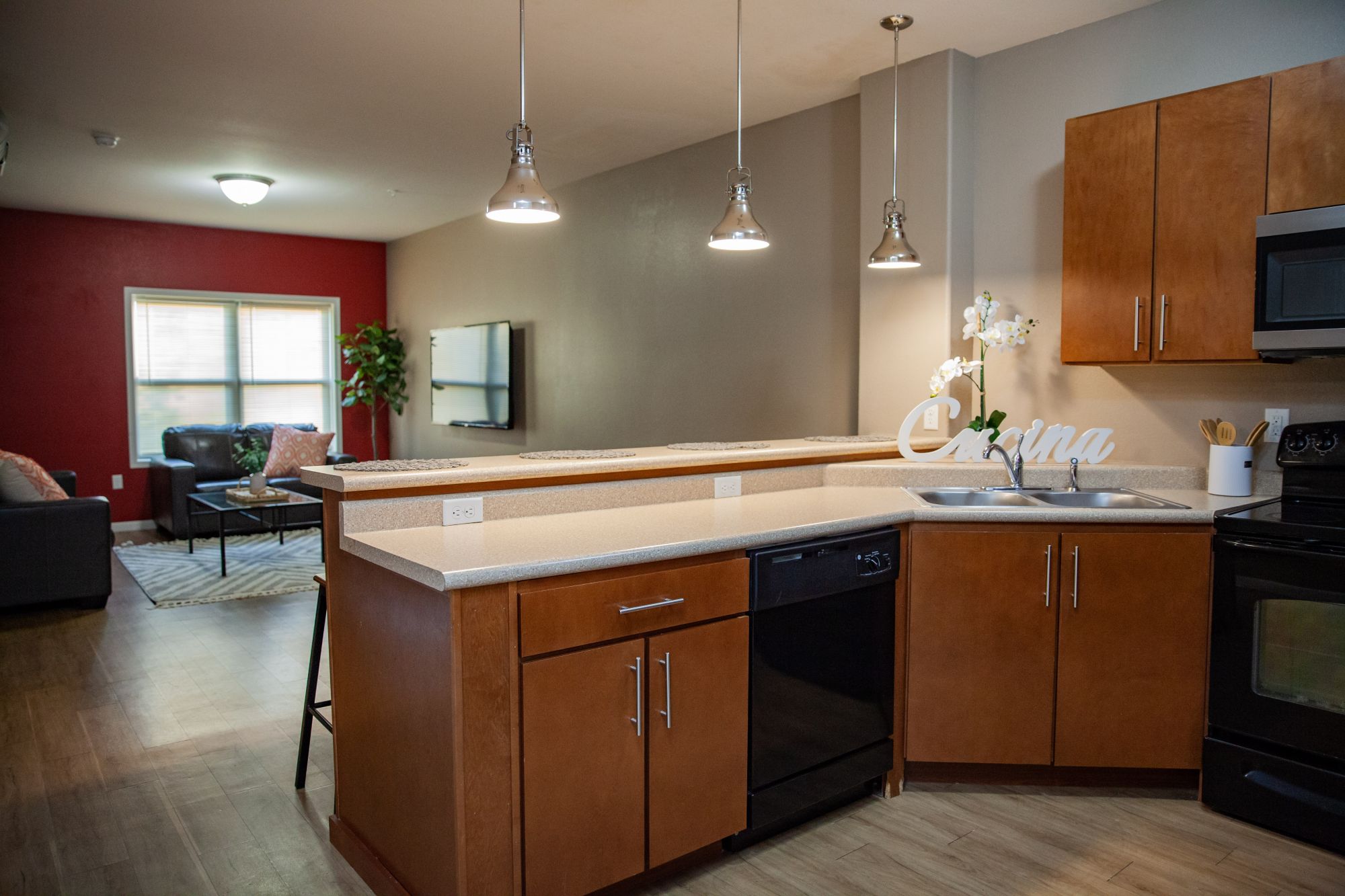 1010 Lofts on Main (2 Level Townhomes)