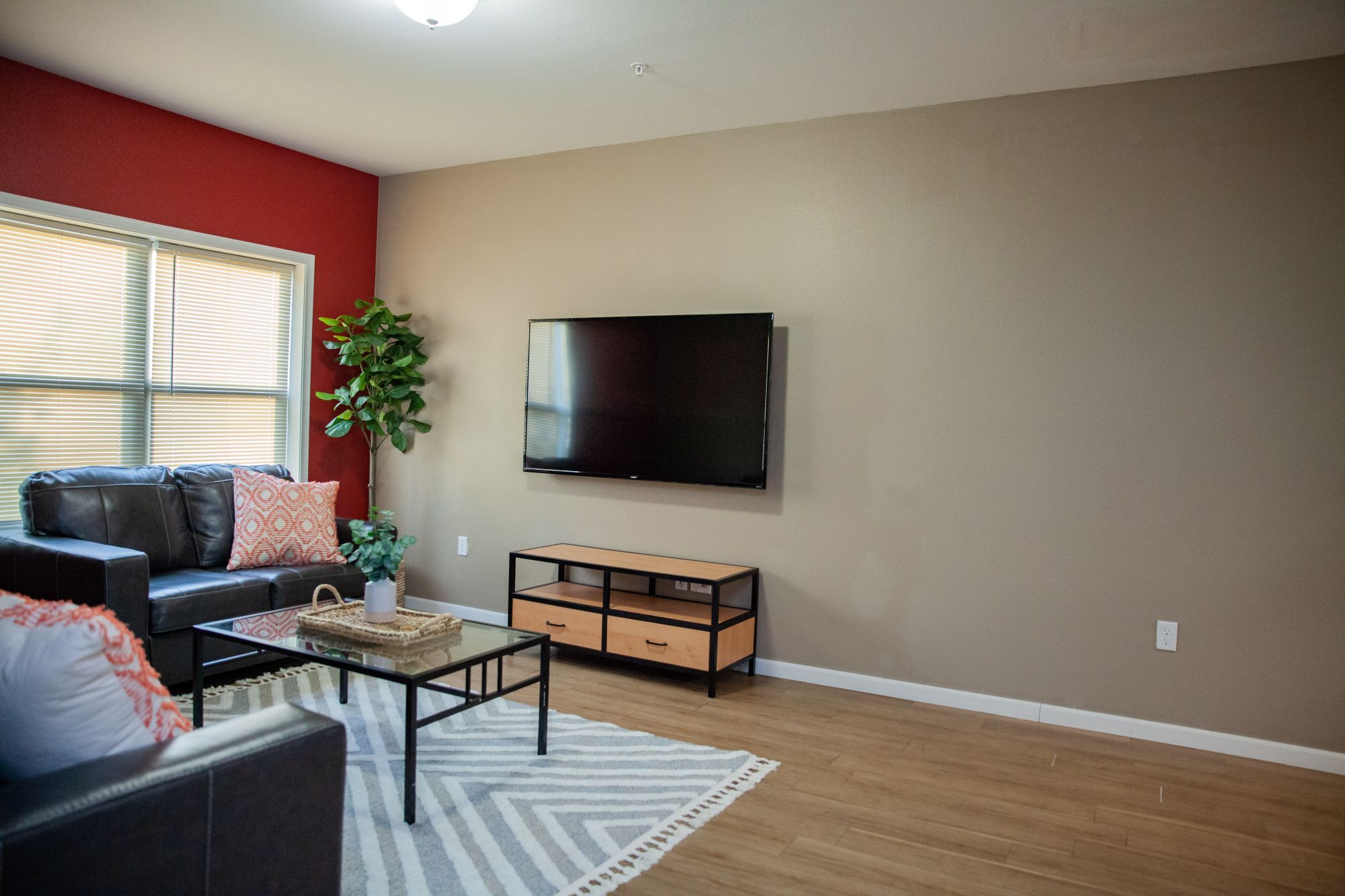 1010 Lofts on Main (2 Level Townhomes)