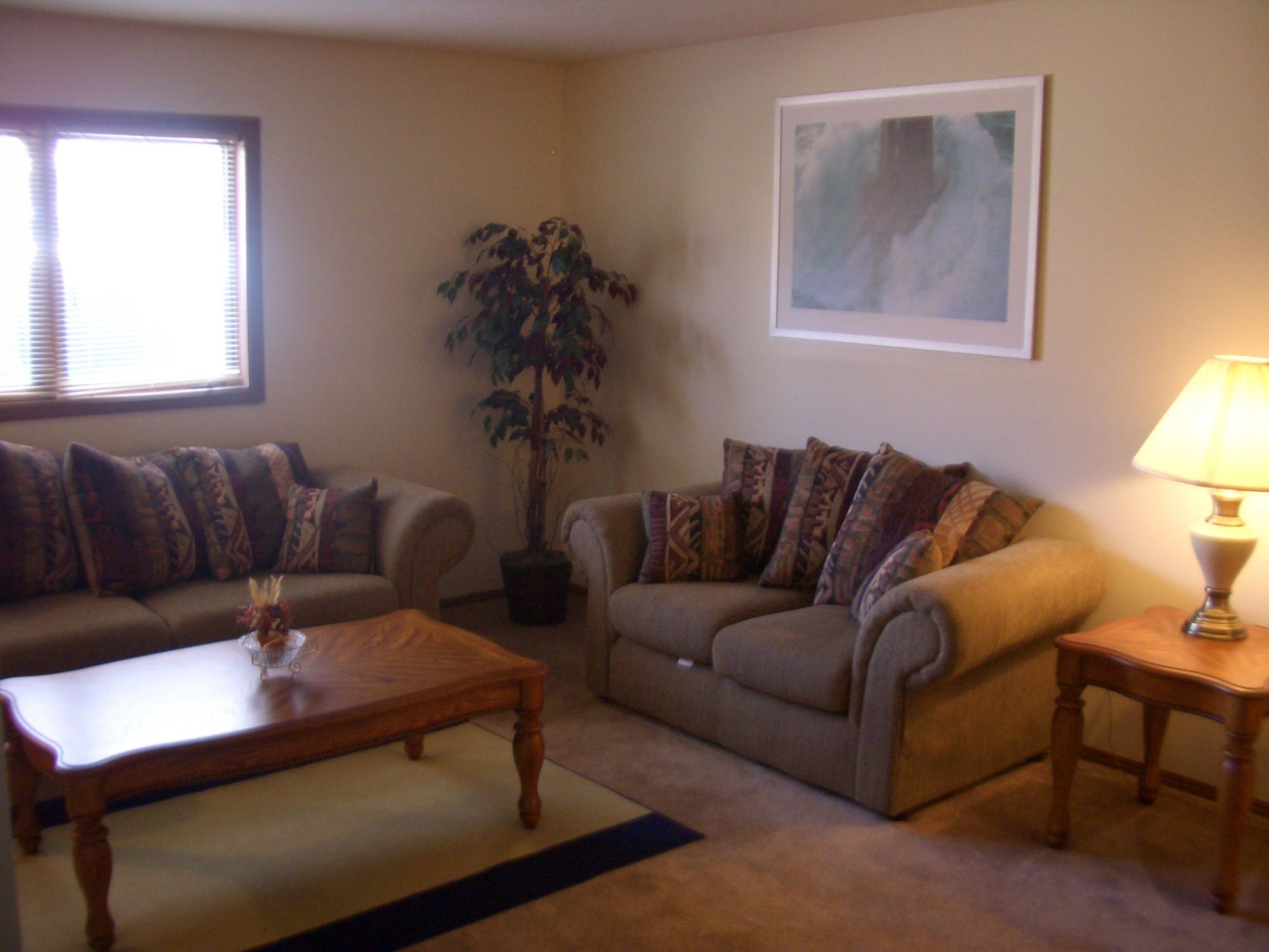 1003 Arlene Court