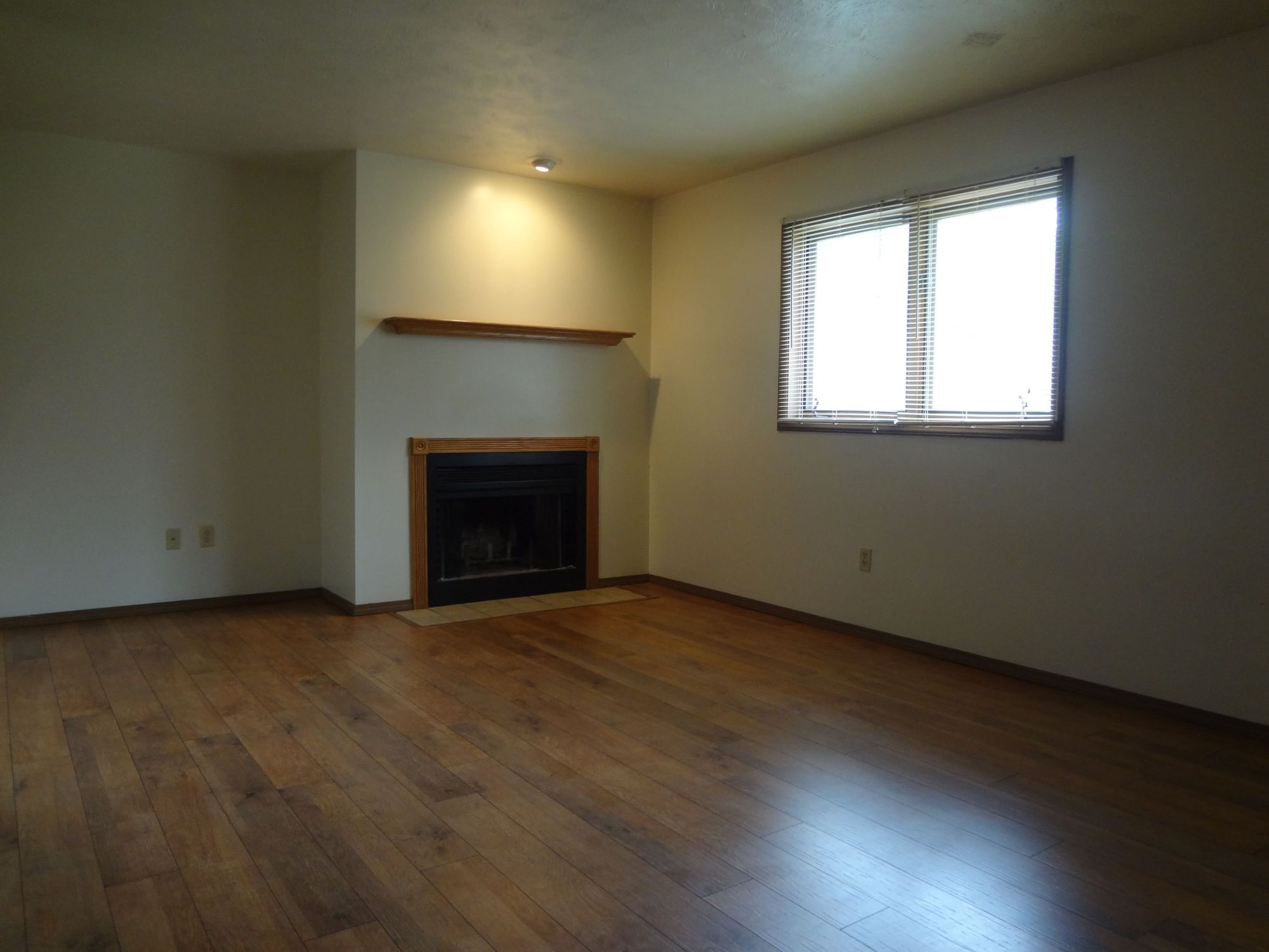 1003 Arlene Court